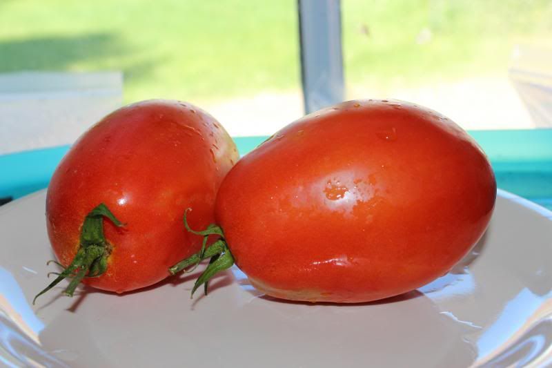  photo BurpeeSupersauce17_zps5136b474.jpg